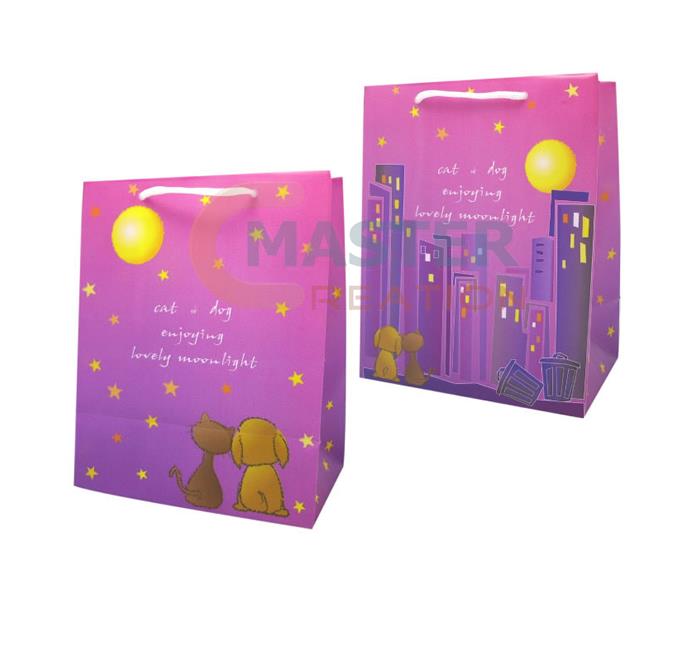 Paper Shopping Bag