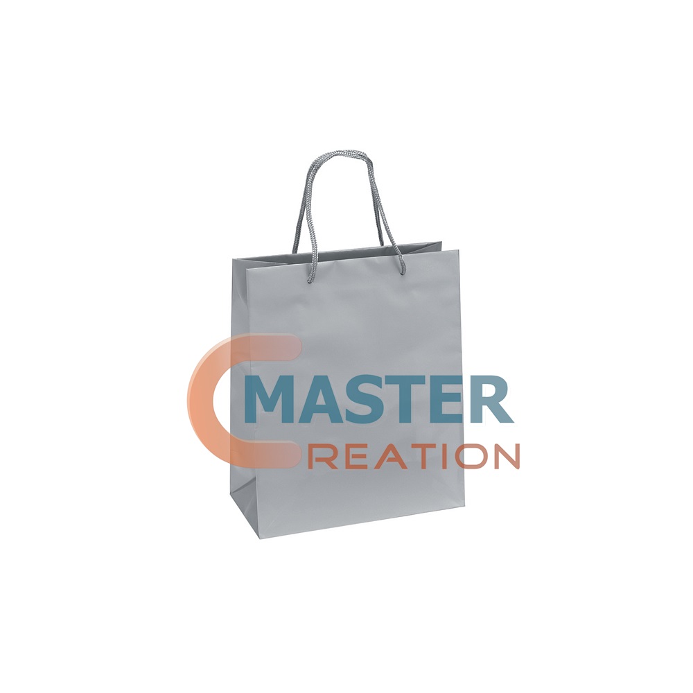 Silver Paper Bag