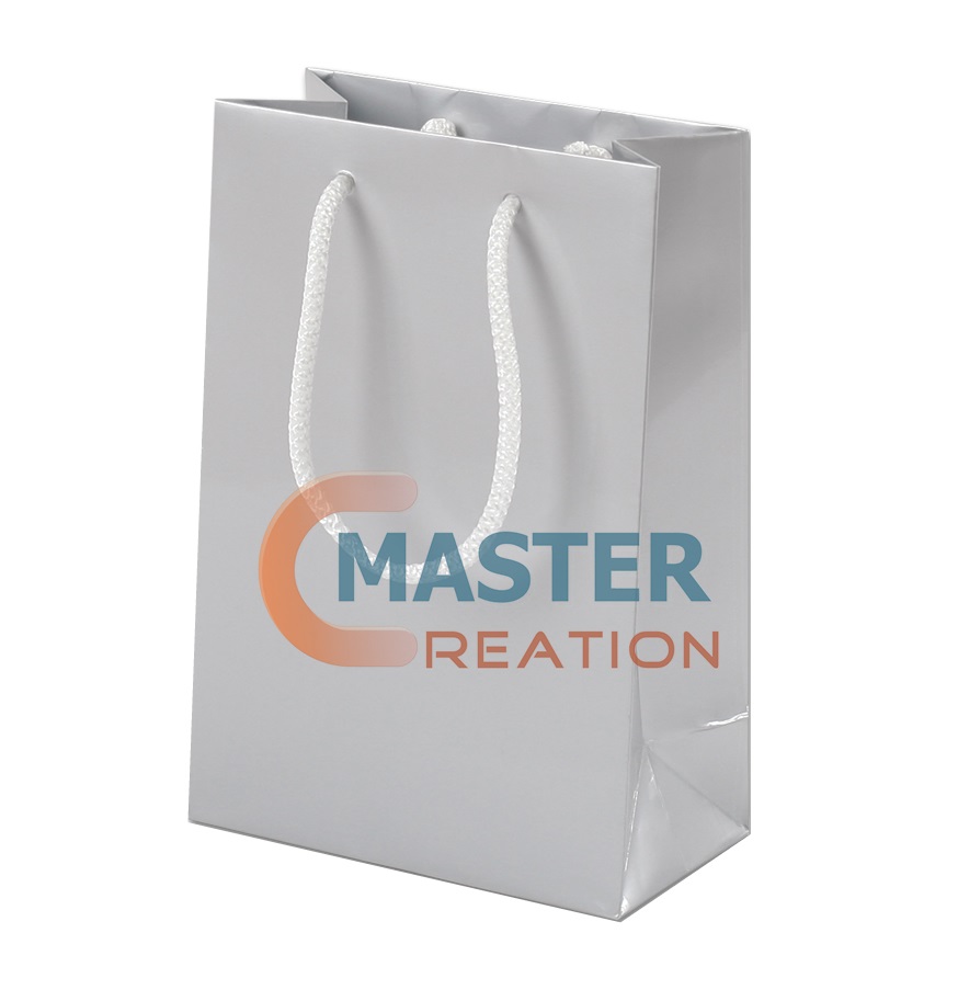 Paper Gift Bag