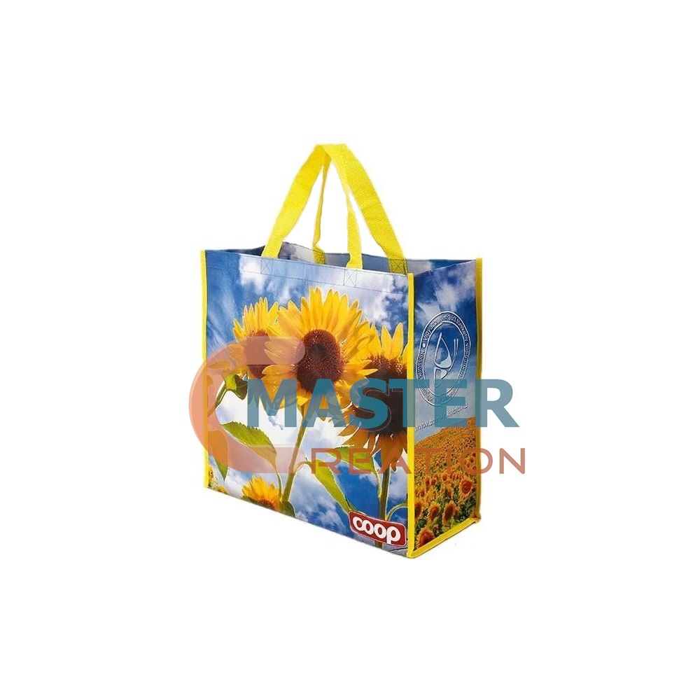 Reusable Shopping Bag