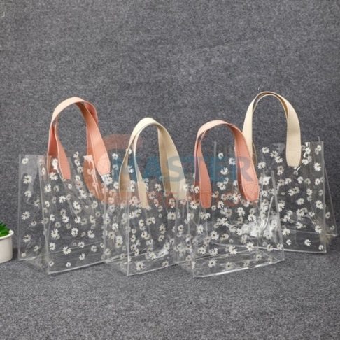 Transparent Beach Bag