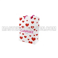 Promotional Paper Bag
