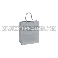 Silver Paper Bag