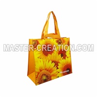 Reusable Grocery Bag